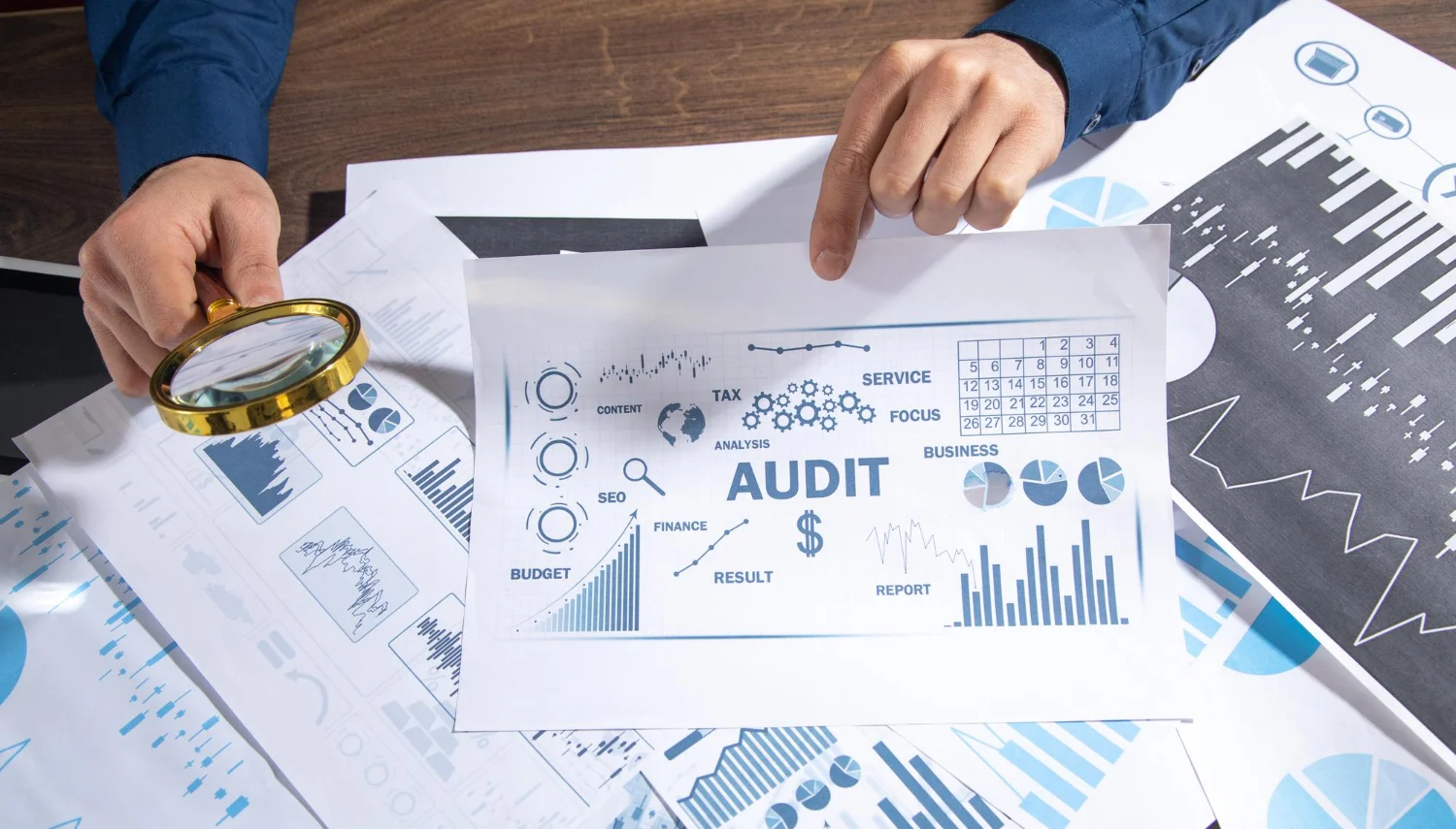 audit management
