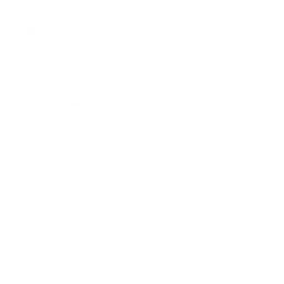 FingerPrint Icon